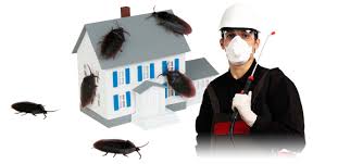 Pest Control Services Company