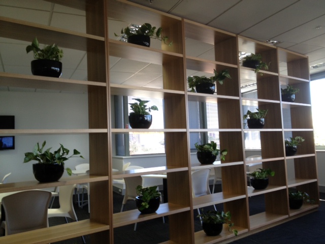 indoor plants for offices