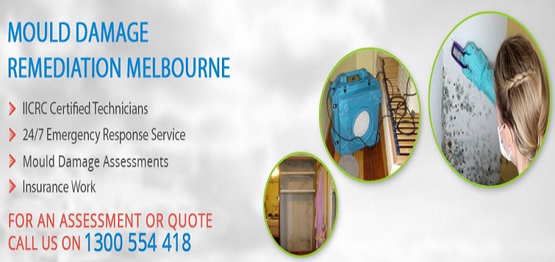 Mould Removal Melbourne